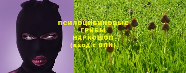 эйфоретик Кулебаки
