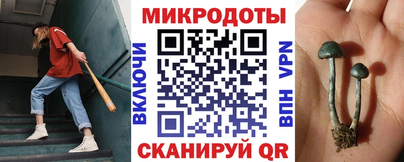 Галлюциногенные грибы MAGIC MUSHROOMS  Купить где  Томари 